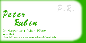 peter rubin business card